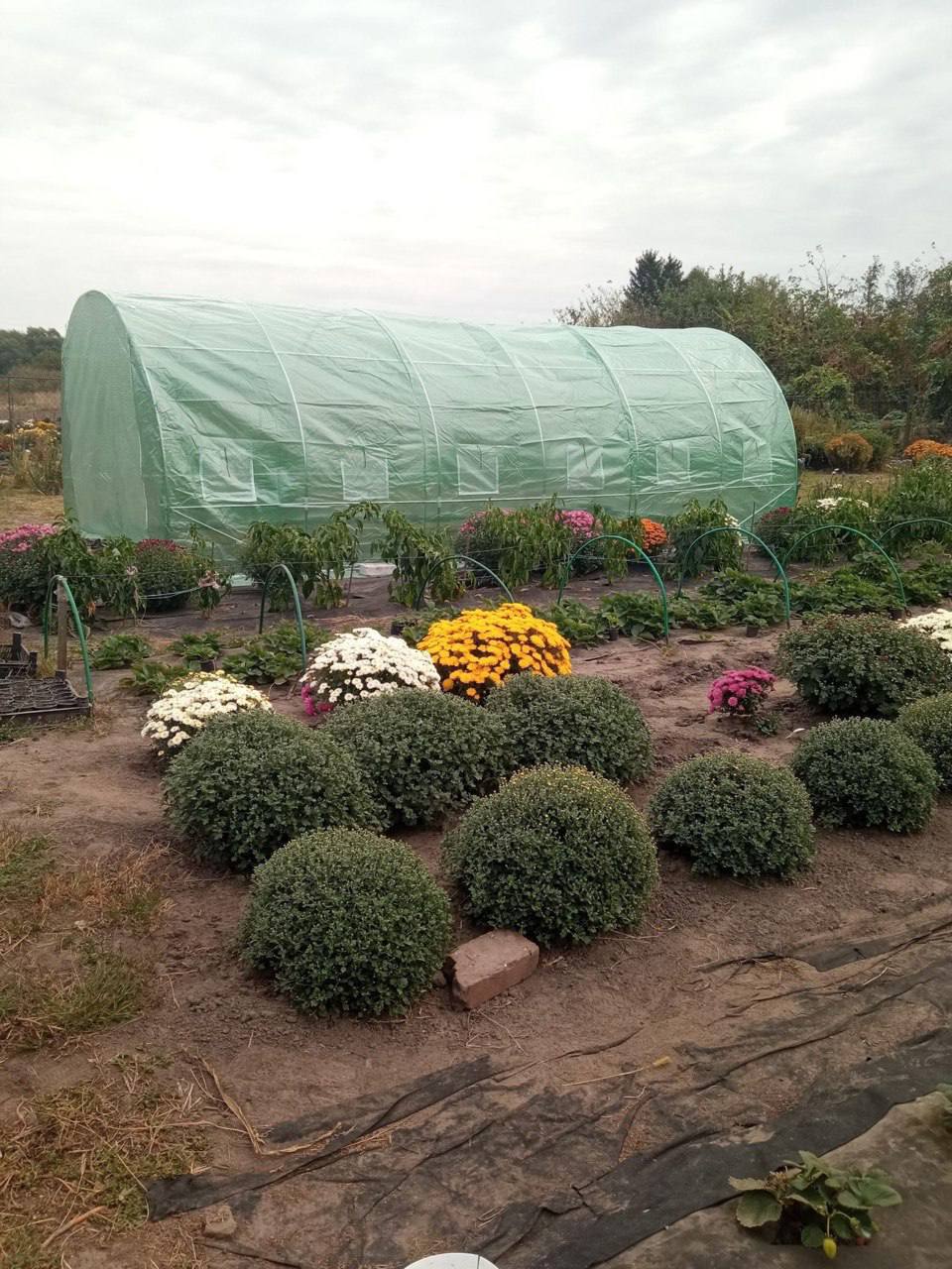 Фото відгуку