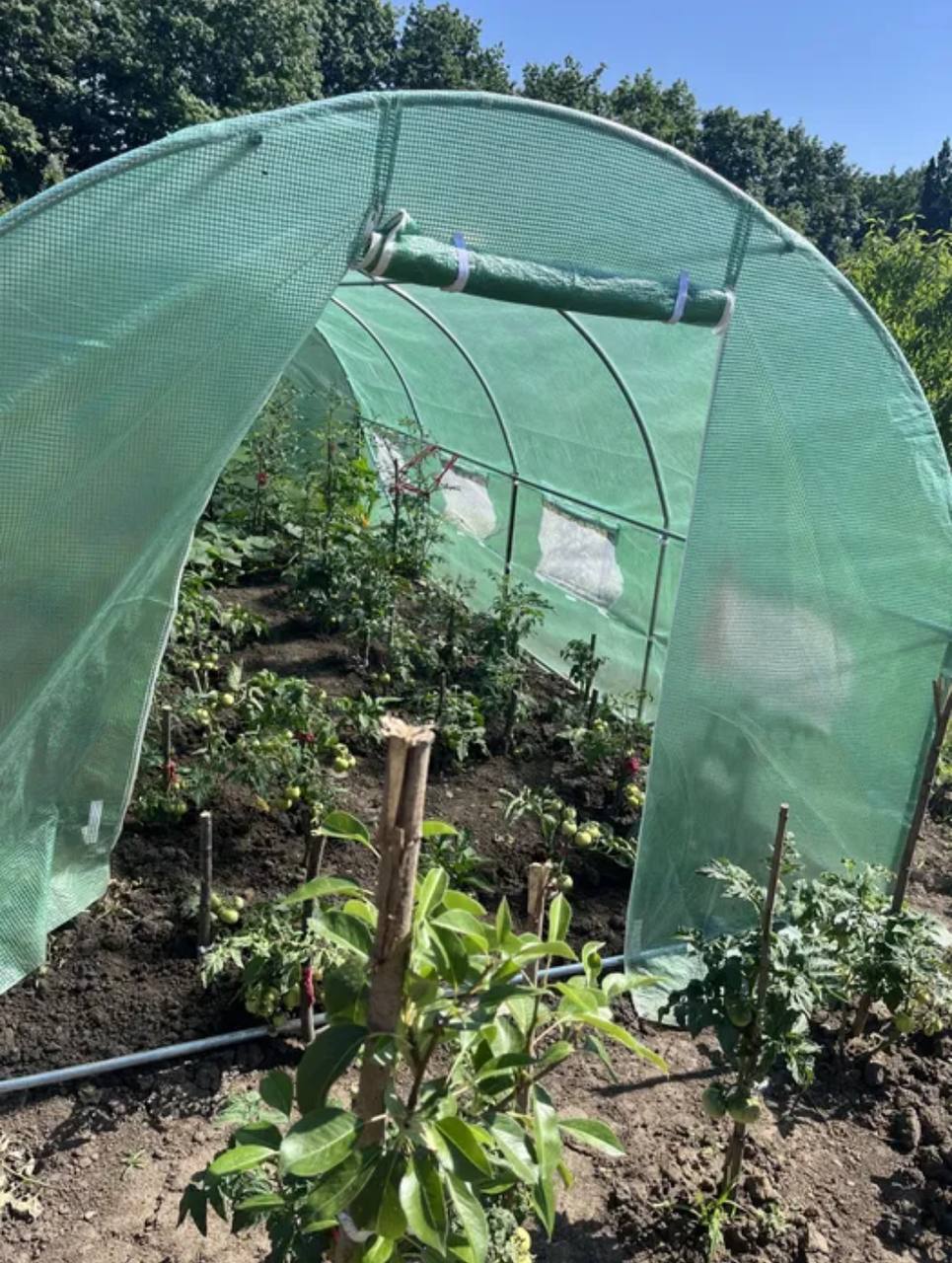 Фото відгуку